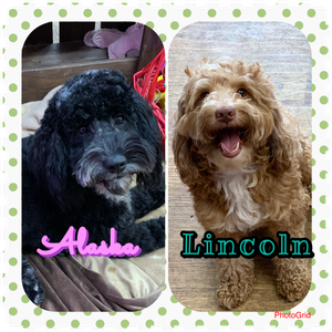 Alaska & Lincoln 